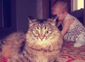 IMG_20151122_235213_26