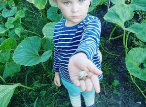 IMG_20160902_112132