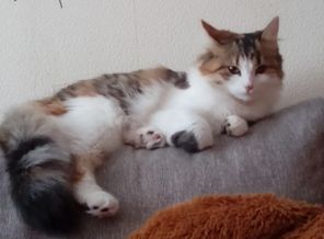 9qdXCatE1bI