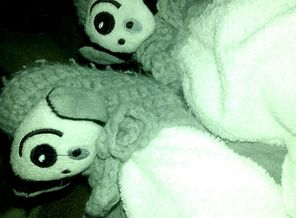 4BOo_7QbNyI