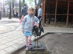 IMG_20160813_144200