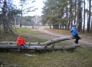 вот и осень в рощу пришла...