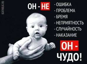 image(13)