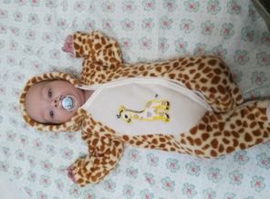 IMG-71af2af643f11161942f680a7ef85dd3-V