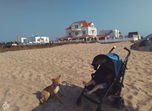 IMG_2016-09-14 10-19-14
