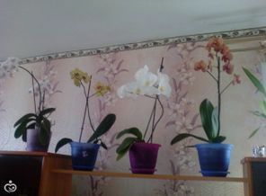 IMG_20160505_180048
