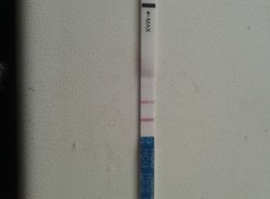20170130_113014