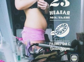 malyshi_image_14866291519