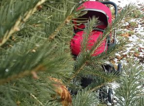 IMG_20161211_223951