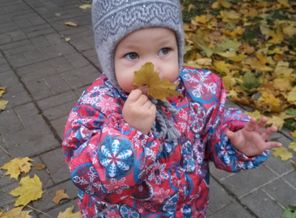 Осенний аромат