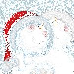 image.gif