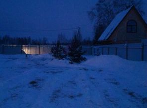 зима елки