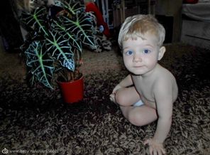 SAM_3941
