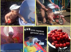 Все лето- глаз не сомкну!