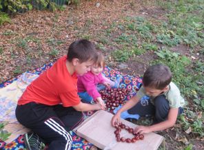 IMG_20151218_182528_12