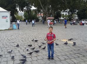 IMG-1466319193500-V