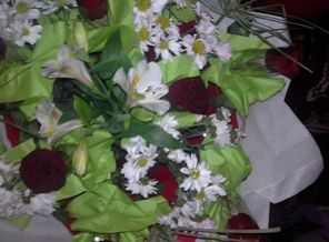 IMG-1479327637361-V