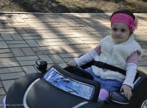 _DSC0331