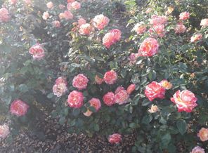 20160828_180352