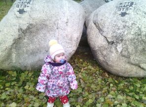 IMG_20151104_074708