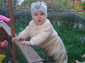 IMG_20161001_170812
