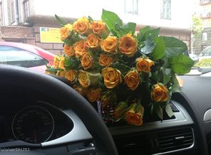 мои любимые