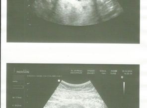 Scan0001.jpg