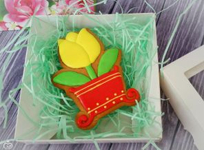 IMG_20170228_190105