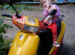 IMG_20160817_194212.jpg