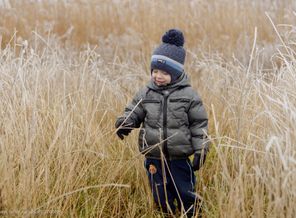 В сказочном, хрустальном лесу.