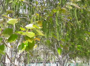 20160425_135335