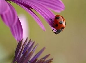 SavedImage(136)