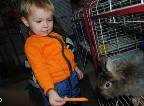 IMG_20150113_235122