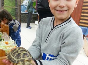 IMG_20151018_230449