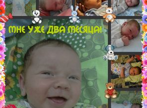 2 месяца