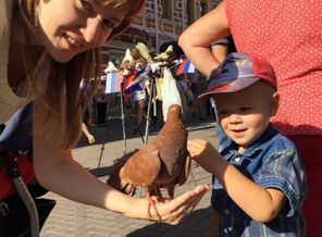 IMG_20150811_150259