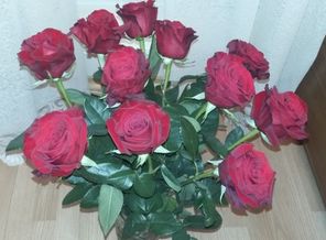 20160324_082452