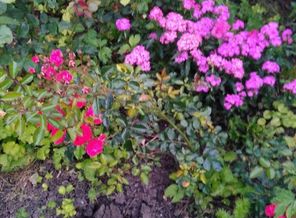 IMG_20160610_201453