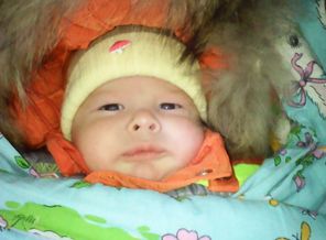 IMG_20160427_142600