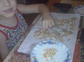CAM01291