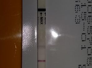 тест на овуляцию на 2 день задержки