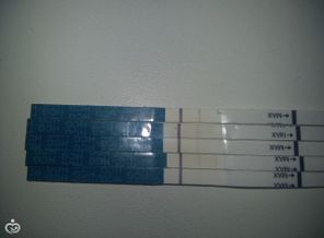 20170328_090909