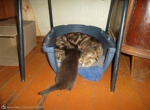 IMG_20150923_153701_14