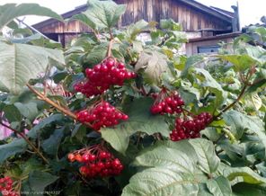 IMG_20150908_125248