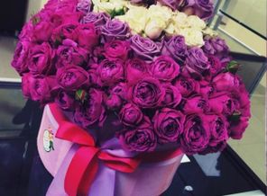 IMG-20160207-WA0002