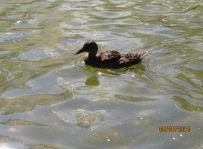 IMG_0133