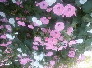 20160727_150817