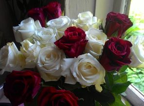 IMG_20160410_075618