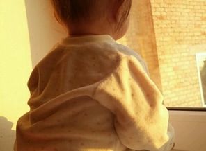 IMG_20151106_061314_0