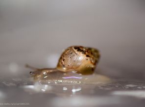 DSC_7092